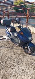Yamaha Magesty 250
