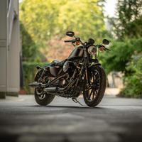 Harley Davidson 883