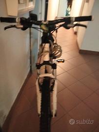 bici raggio26 