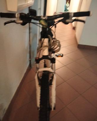 bici raggio26 