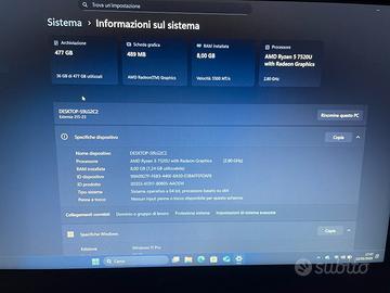 Acer extensa 215