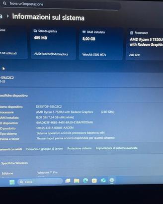Acer extensa 215
