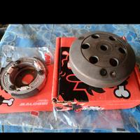 variatore Malossi e frizione fly clutch