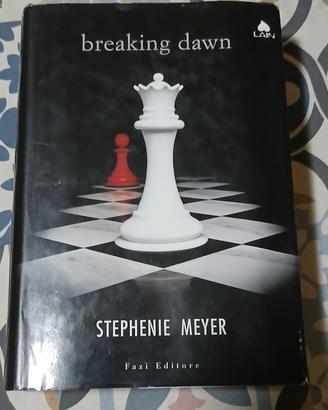 Breaking Dawn