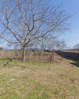 Terreno - Castiglione di Sicilia