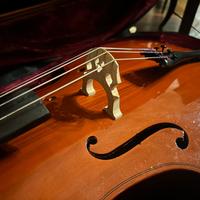 Violoncello 1/2 arco, custodia rigida