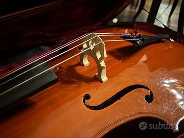 Violoncello 1/2 arco, custodia rigida