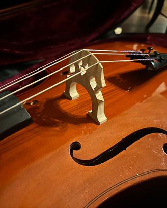 Violoncello 1/2 arco, custodia rigida