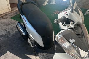 Sh300