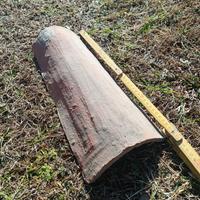 gruppo di  nr. 4 tegola coppo e multipli