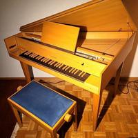 Spinetta Sassmann con TRASPOSITORE trasportabile