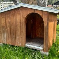 cuccia cane