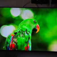Tv Qled Samsung QE49Q70RAT