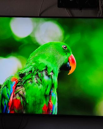 Tv Qled Samsung QE49Q70RAT