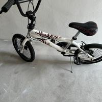 Bicicletta Freestyle