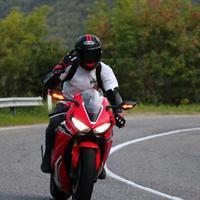 HONDA CBR 1000RR Fireblade (2017) Rossa
