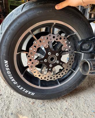 Disco arlen ness 11.8”/300m