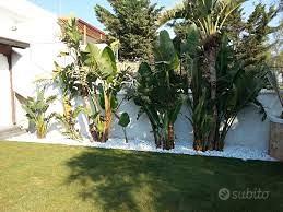 Appartamento p. terra con giardino privato 400 mq