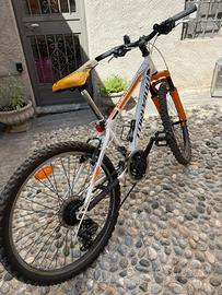 Mountain Bike Torpado
