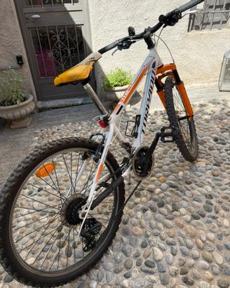 Mountain Bike Torpado