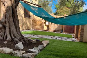 Casa L ulivo santa Maria navarrese