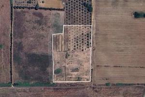 Terreno Agricolo - Alghero