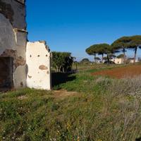 Antica masseria del 1800