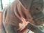 Immagine 4