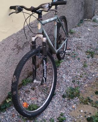 bicicletta 