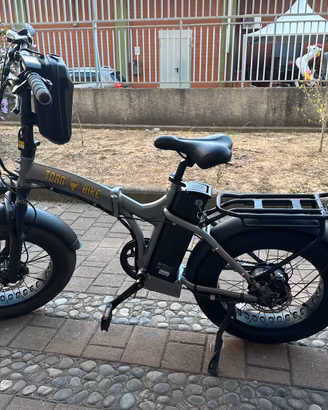Bicicletta Elettrica 750 Watt
