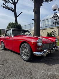 MG MIDGET TARGA NERA DA AMATORE