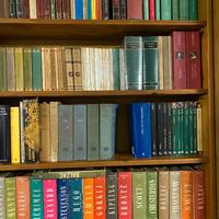 Libreria 400 libri (Tolstoj, Pirandello, Eco,..)