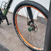 cannondale flash in carbonio.