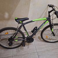 mountain bike colori differenti 