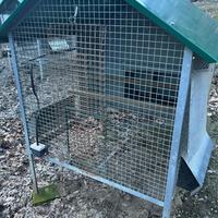 Pollaio per galline o altri animali