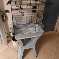 Gabbia per uccelli
