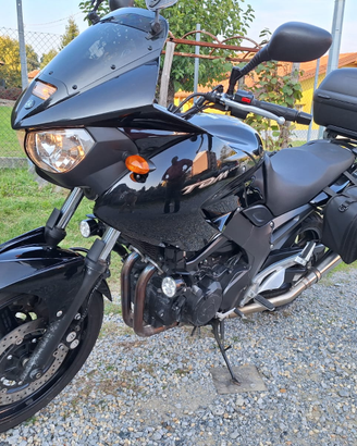 Yamaha tdm 900 2008