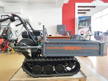 MOTOCARRIOLA 300 KG