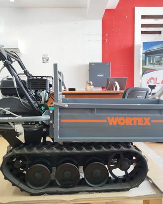 MOTOCARRIOLA 300 KG