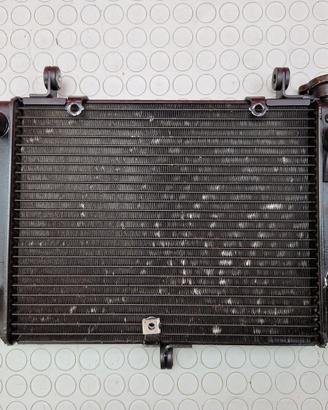 RADIATORE ACQUA YAMAHA R6 1999 2002 YZF 2000 2001
