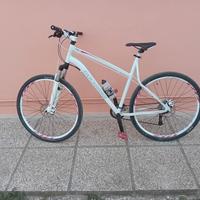 mtb xl 29