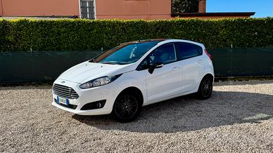 Ford Fiesta 1.4 GPL White and Black