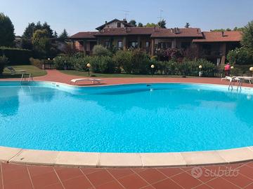 Annuale a Desenzano del Garda