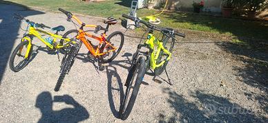 lotto 3 biciclette bimbo ragazzo