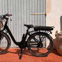 Bici elettrica mbm