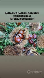 marroni fiorentini  non trattati