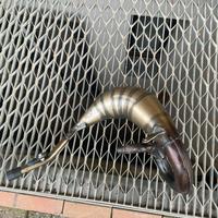 pancia leo vince per beta