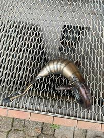 pancia leo vince per beta