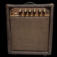 acoustic G20 110 amplificatore vintage (1981) 