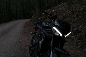 moto triumph